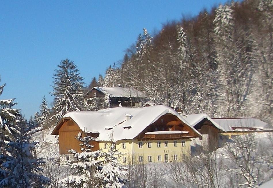 Eisenstattgut Faistenau Dış mekan fotoğraf
